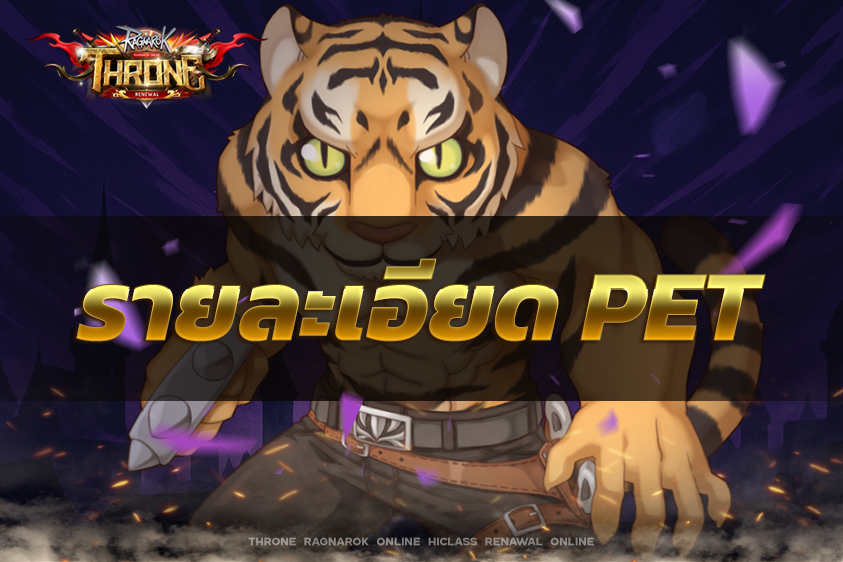 รายละเอียด PET